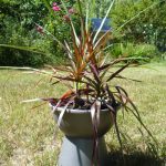 urn6 plastic bowl urn