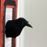 taxidermycrow04 taxidermy crow