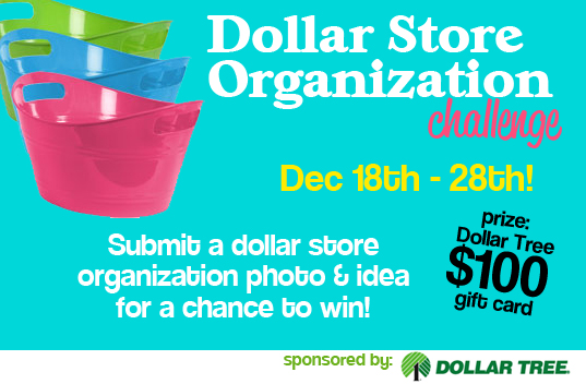 Dollar Store Crafts organization challenge