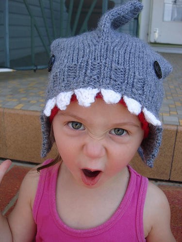 knit a shark hat