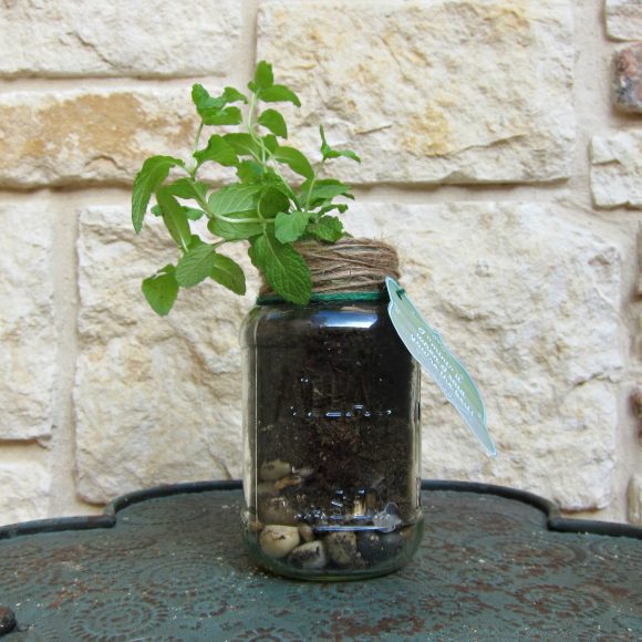 Father's Day Mason Jar Plant gift with printable - DollarStoreCrafts.com fathers day gift