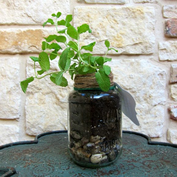 Father's Day Mason Jar Plant gift with printable - DollarStoreCrafts.com mason jar gift