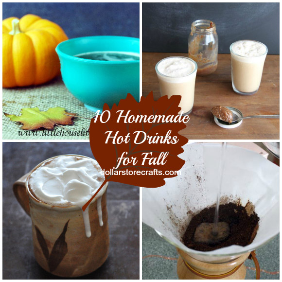 10 Homemade Hot Drinks for Fall