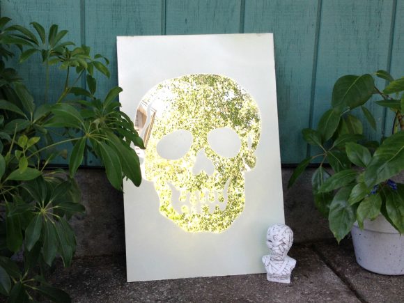Frosted Skull Mirror