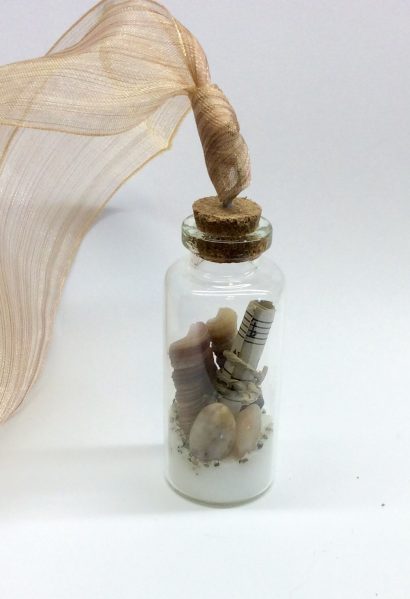 Seashell in a Bottle Necklace