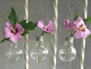 lightbulb vases