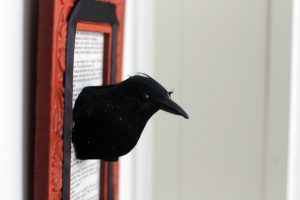 taxidermy crow