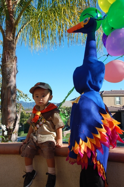 Disney and Pixar Up House Costume