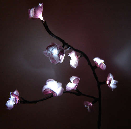 cherry blossom lights