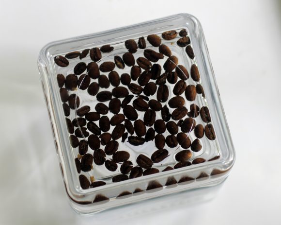 coffee beans embedded in resin