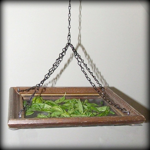 Make a Hanging Herb Drying Rack » Dollar Store Crafts
