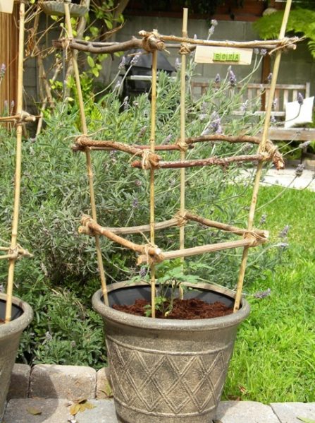 Make Bamboo And Twig Tomato Cages Dollar Store Crafts