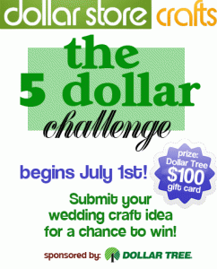 5 dollar challenge