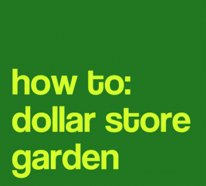 how to: dollar store garden