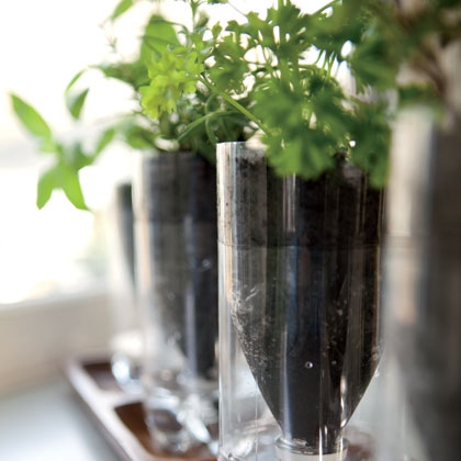 Make self-watering recycled bottle planters