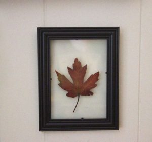 floating leaf wall art