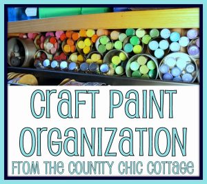 Organize craft paints with recycled cans