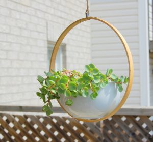 Make a Hanging Hoop Planter