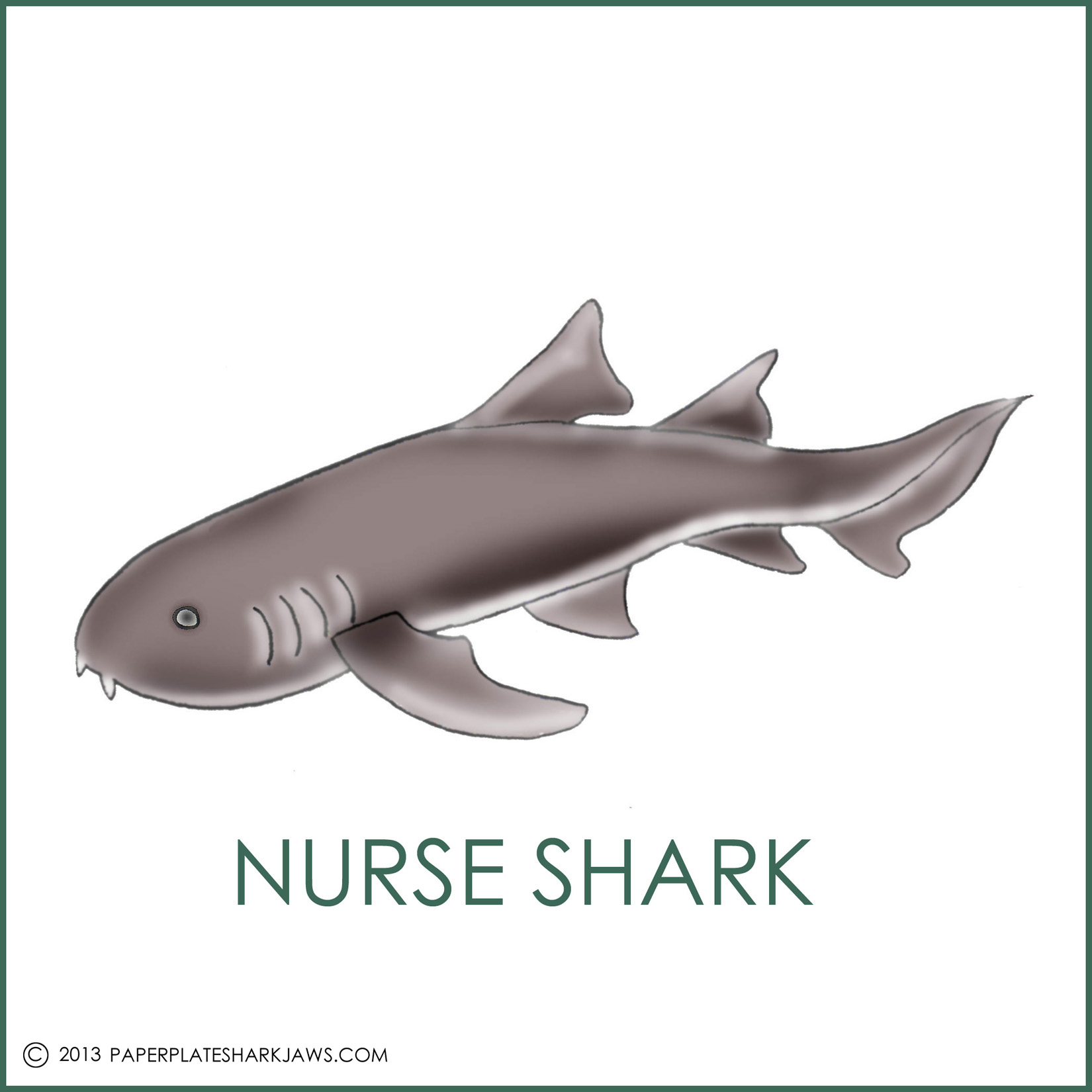 Nurse Shark Games