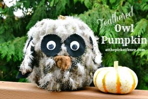 feathered friend owl pumpkin