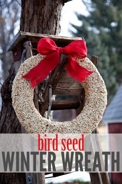 Make a Birdseed Winter Wreath