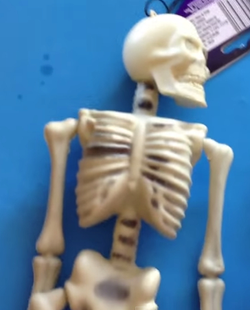 Plastic skeleton