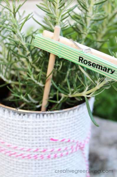 Cute DIY plant markers from clothespins. I love this!