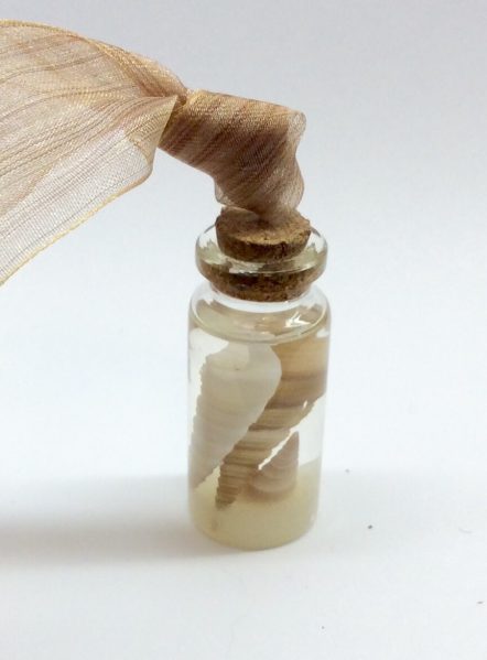 Seashell in a Bottle Necklace