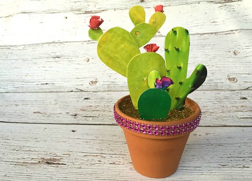How to Make a Photo Cactus Garden