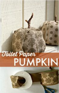 Make a Pumpkin... out of Toilet Paper? Fall craft idea