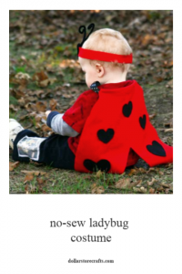 DIY No-Sew Ladybug Costume